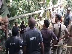 Kerala: Tiger falls into well in Pathanamthitta; rescue efforts underway